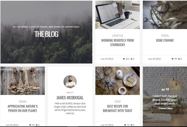Modern Blog WordPress Theme instagram style