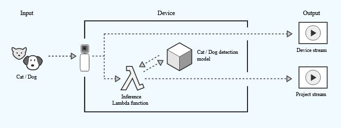 AWS AI camera cat and dog dection models