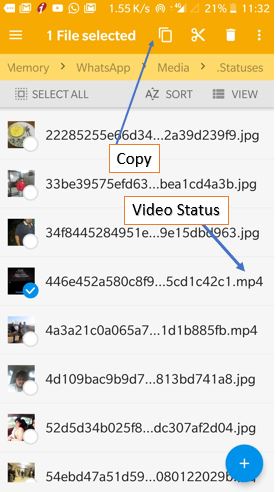 Hold and select the Whatsapp video status to save it in the smartphone gallary
