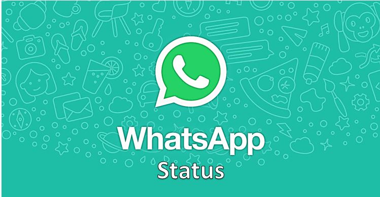 save and downlaod whatsapp status video and images on smartphone ANdroid