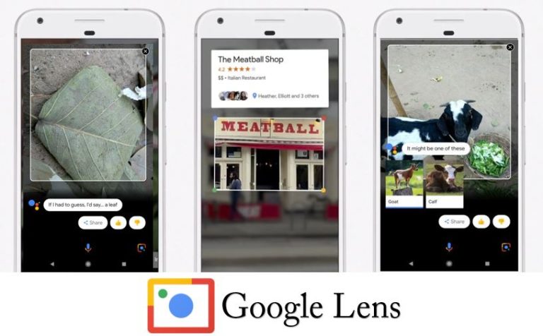 How To Activate & Use the Google Lens on Your Android Phone Assistant app
