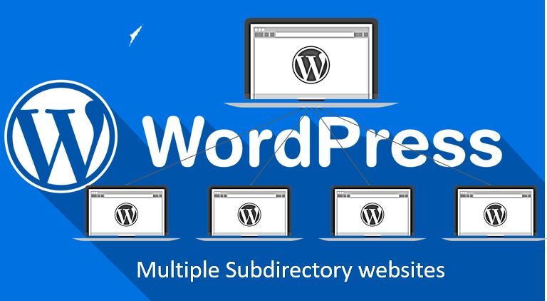 install Second WordPress in a Subdirectory for creating Multisite