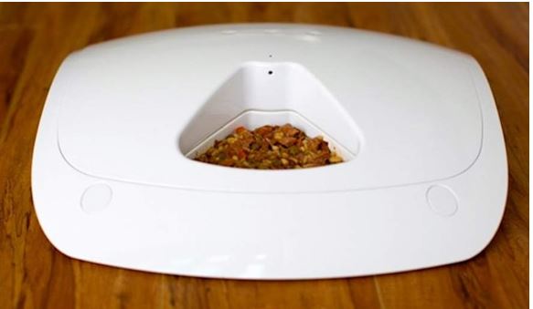 Automatic Feed and Go Pet Feeder