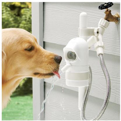 WaterDog Automatic Pet Drinking Fountain For dogs, cat, rabbits and others