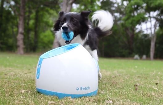 Top Pet Gadgets iFetch Pet Toy For dogs, cats
