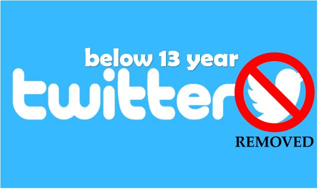 Below 13 year removed and cannot Access Twitter Account