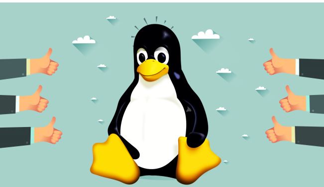 Why Is Linux Operating System So Popular