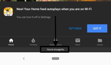 How to go incognito on the YouTube Android app 3