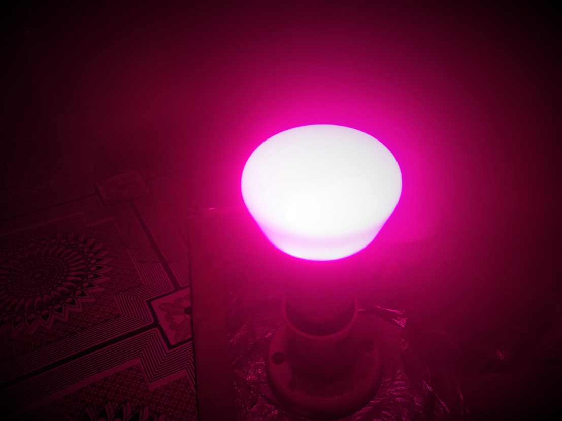 Colour Syska smart LED bulb review 17