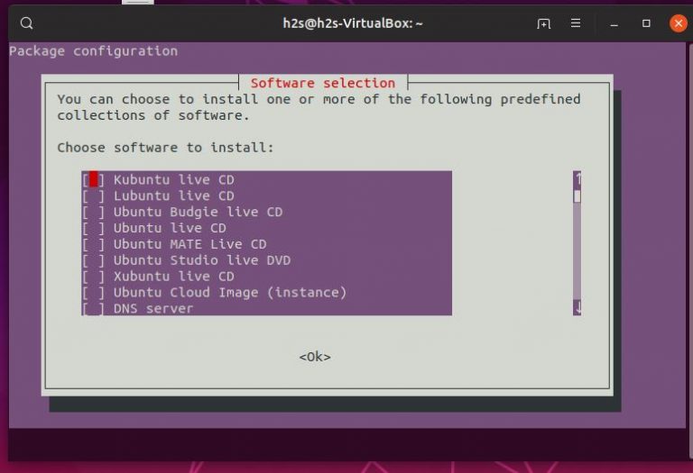 Choose software to install using Tasksel on Ubuntu Linux