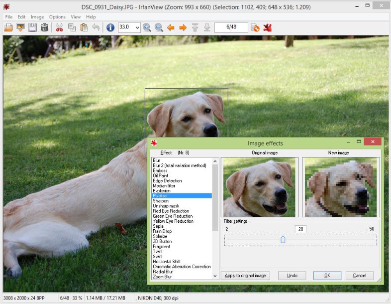 free download photo viewer software for windows 10