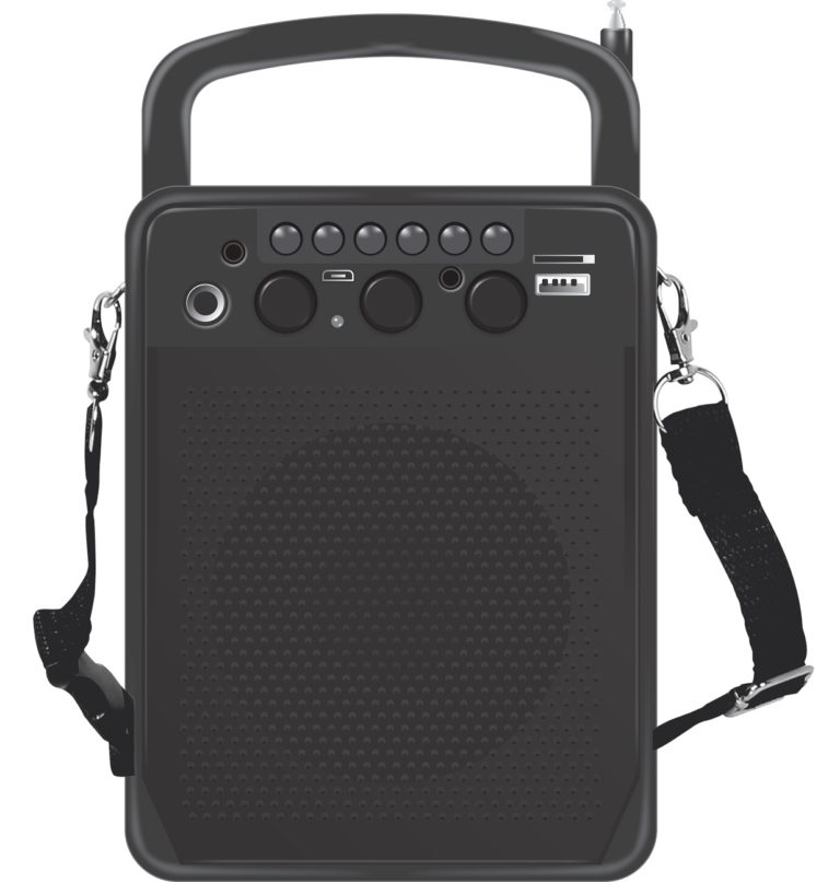 VingaJoy SP-40 Acoustic Bass Wireless Speakers