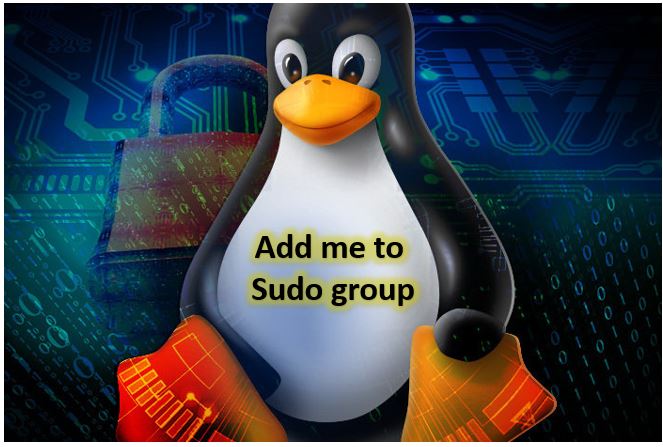 Add user to sudo group for root administrative rights
