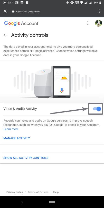 Disable Voice and audio activity
