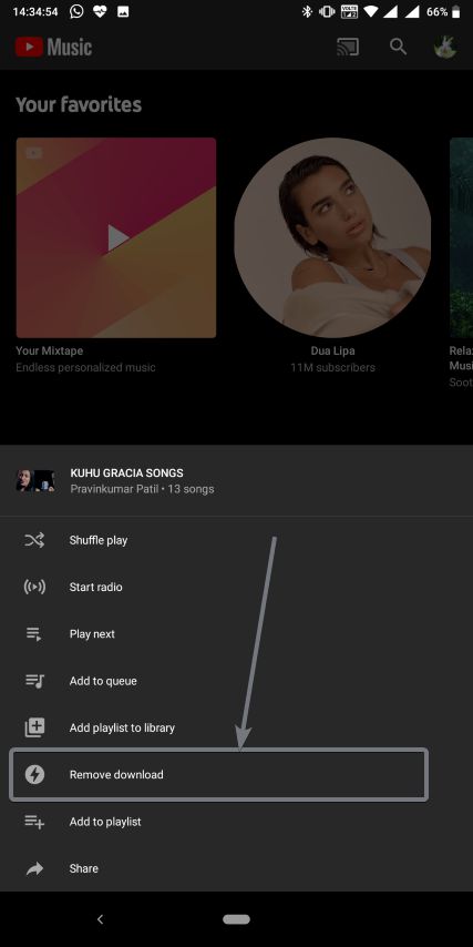 Remove download on YouTube Music 55