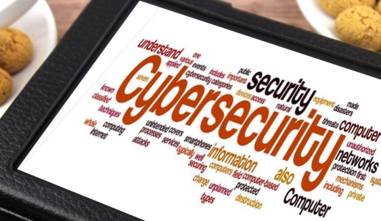 5 Different types of job areas for Cyber security professionals in India