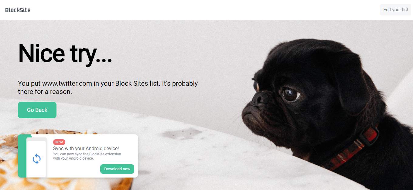 Block site. Nice try перевод.