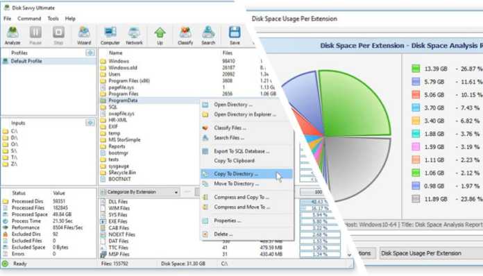 disk analyzer pro windows