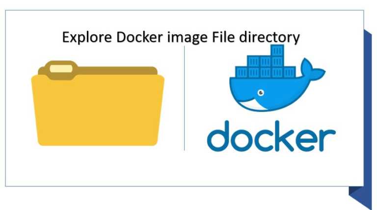 How to explore Docker container’s Linux apps file system