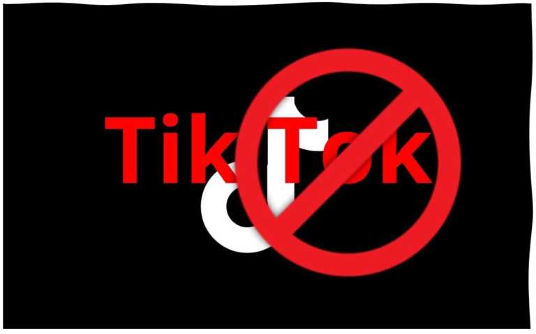 Should India ban tiktok app min