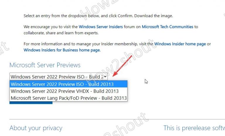 Select Windows Server 2022 Preview ISO buil