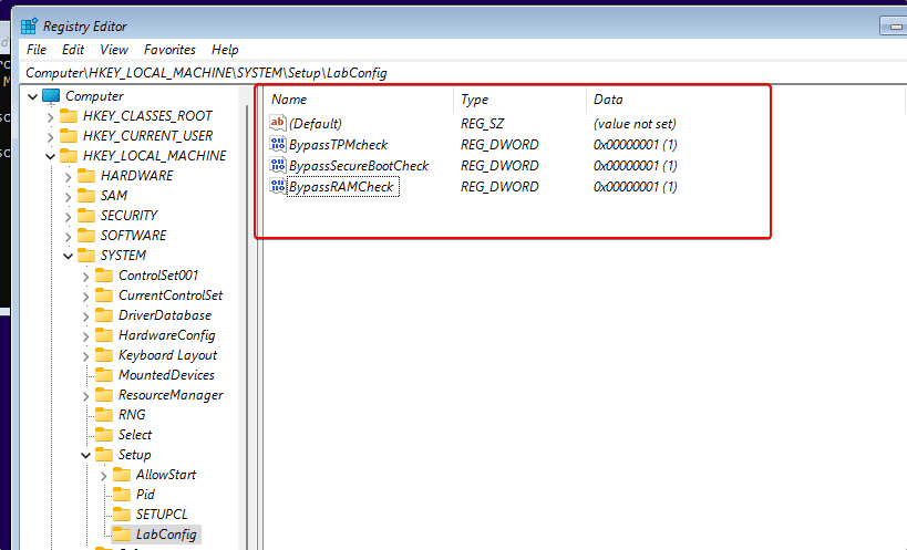 Bypass TMP check Windows 11