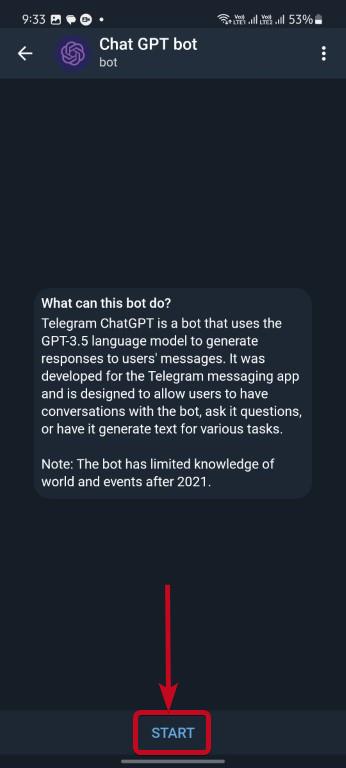 ChatGPT bot