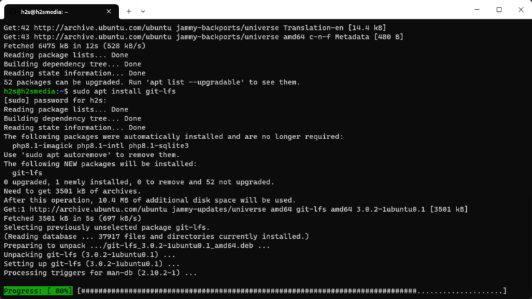 Install Git LFS on WSL 2 Windows