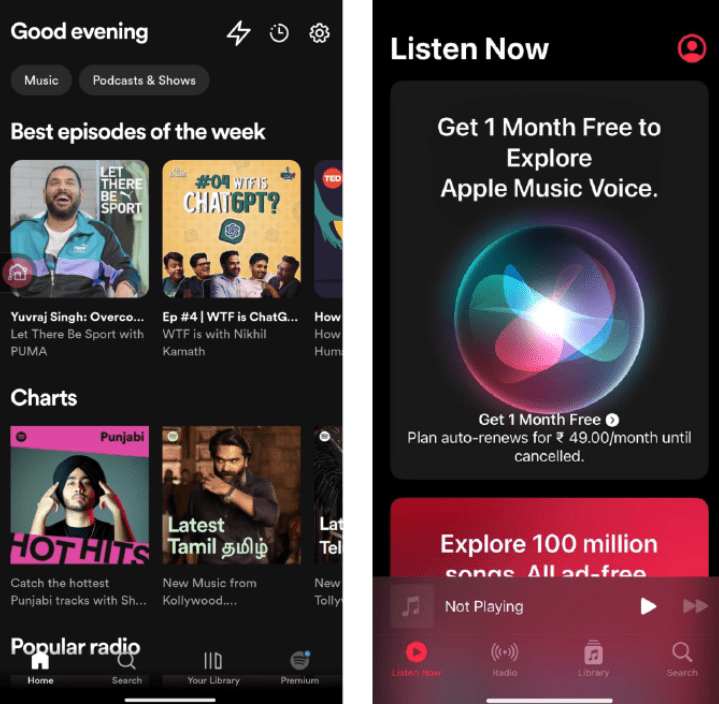 User Interface of Apple music or spotify