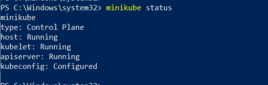 minikube status check command