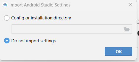 Do not import Android studio settings
