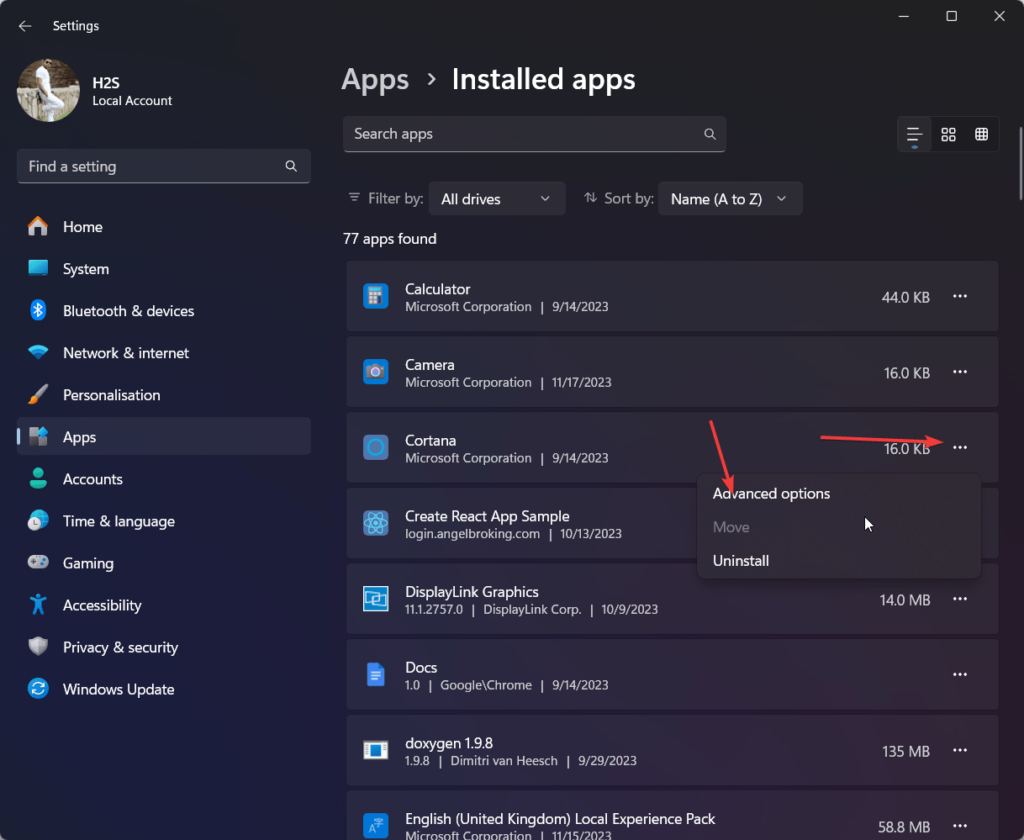 Application advanced options in windows