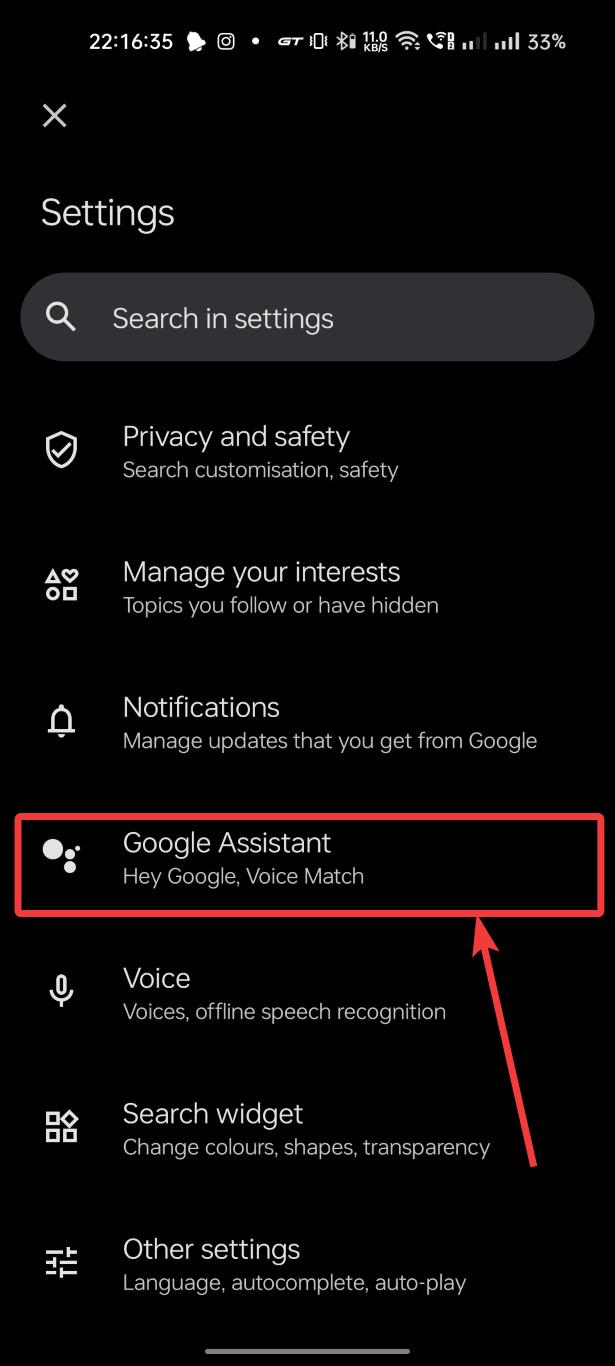Open Google Assistant Settings
